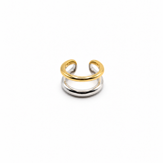 Two Tone Clip Earrings